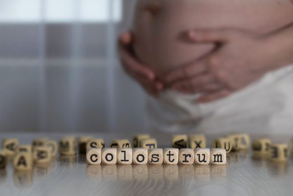 What are the benefits of adults taking colostrum?